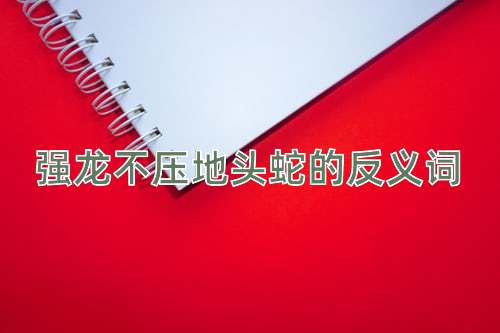 强龙不压地头蛇的反义词