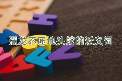 强龙不压地头蛇的近义词