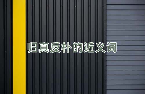归真反朴的近义词
