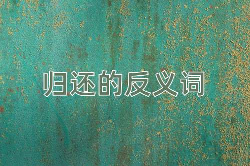 归还的反义词