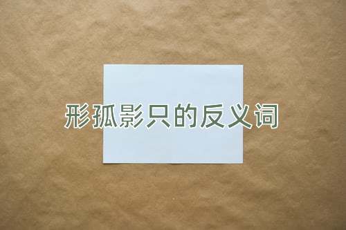 形孤影只的反义词