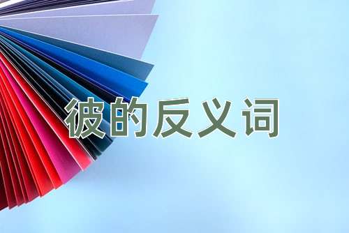 彼的反义词