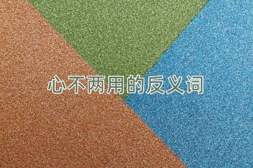 心不两用的反义词
