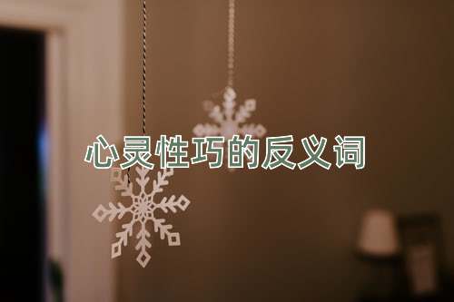 心灵性巧的反义词