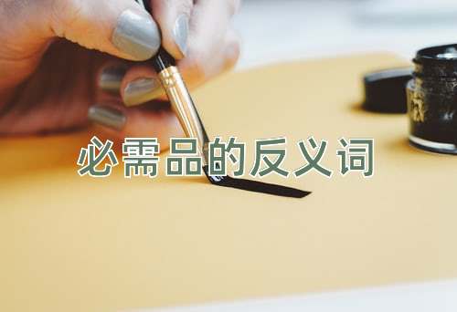 必需品的反义词