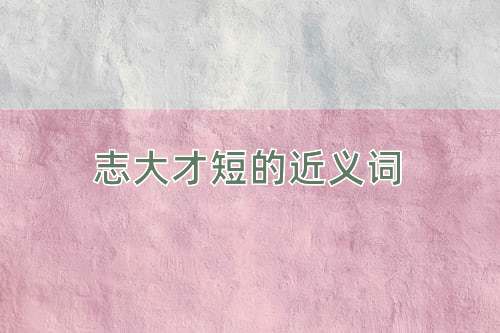 志大才短的近义词