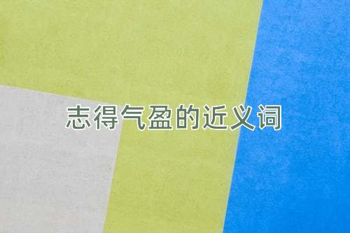 志得气盈的近义词