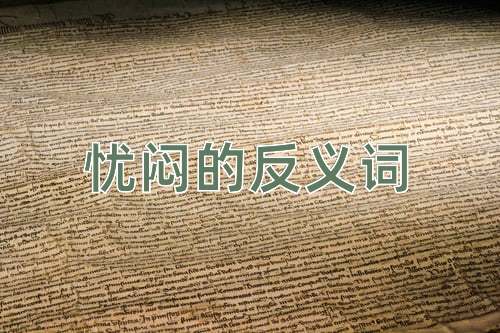 忧闷的反义词