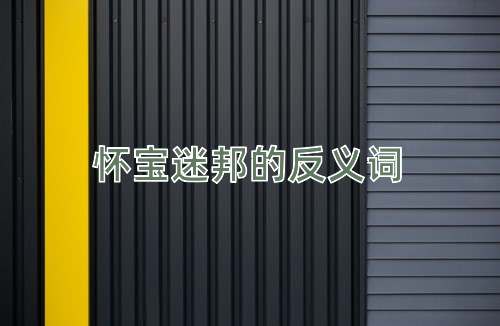 怀宝迷邦的反义词