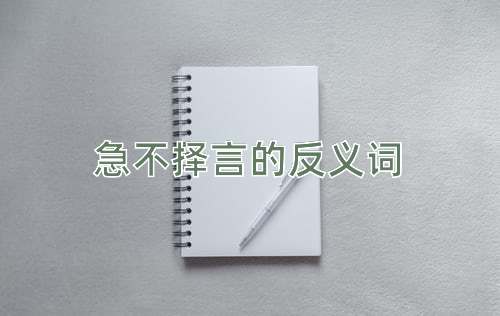急不择言的反义词
