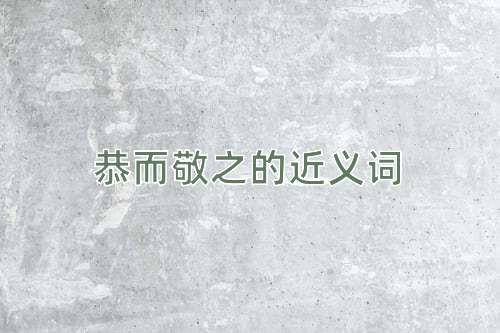 恭而敬之的近义词