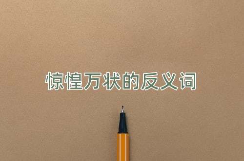 惊惶万状的反义词