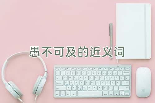 愚不可及的近义词