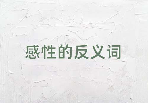 感性的反义词