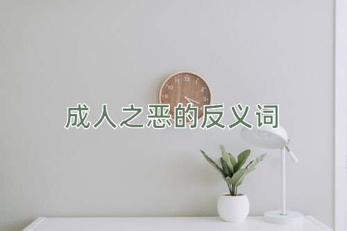 成人之恶的反义词