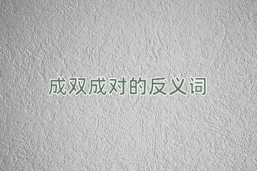 成双成对的反义词