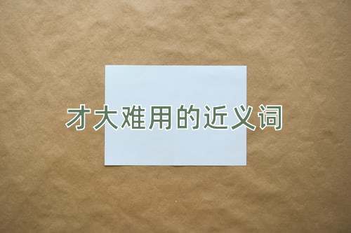 才大难用的近义词