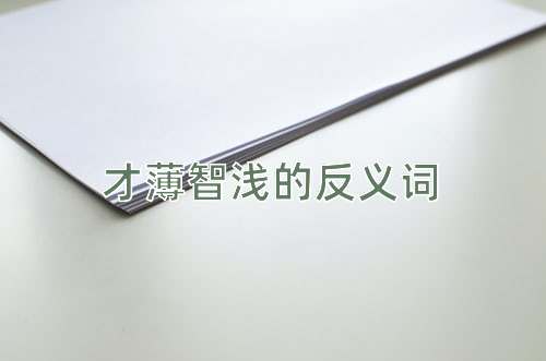 才薄智浅的反义词