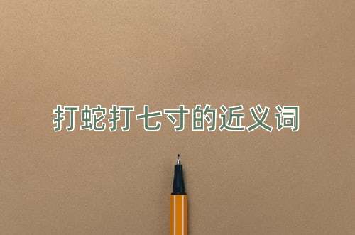 打蛇打七寸的近义词
