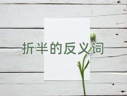 折半的反义词