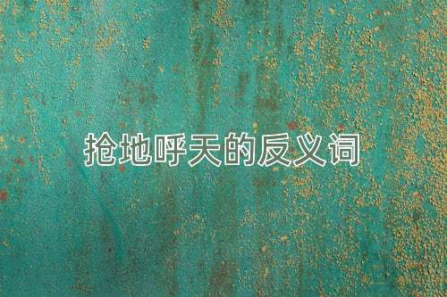 抢地呼天的反义词