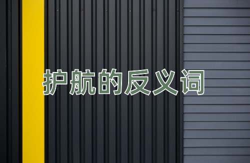 护航的反义词