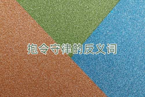 抱令守律的反义词