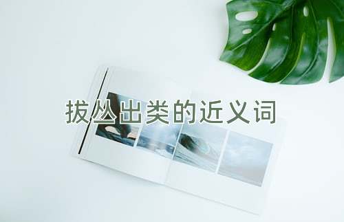 拔丛出类的近义词