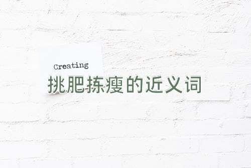 挑肥拣瘦的近义词