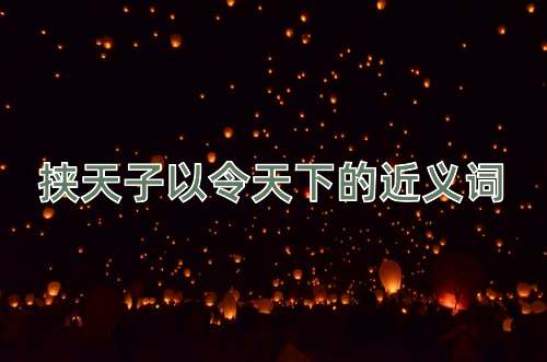 挟天子以令天下的近义词