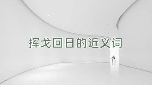挥戈回日的近义词