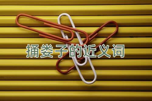 捅娄子的近义词