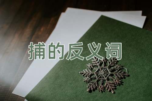捕的反义词