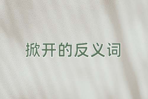 掀开的反义词