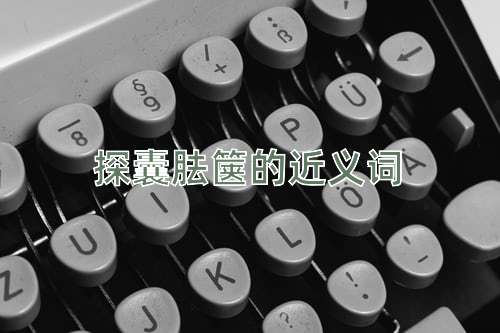 探囊胠箧的近义词