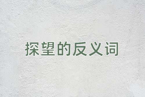探望的反义词