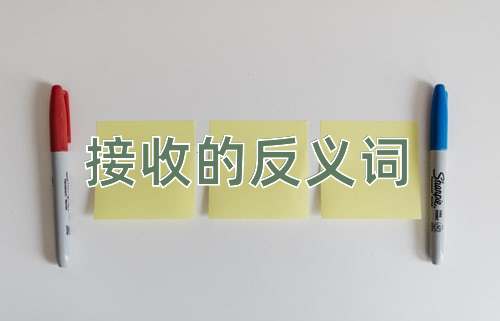 接收的反义词