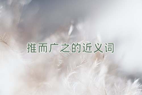 推而广之的近义词