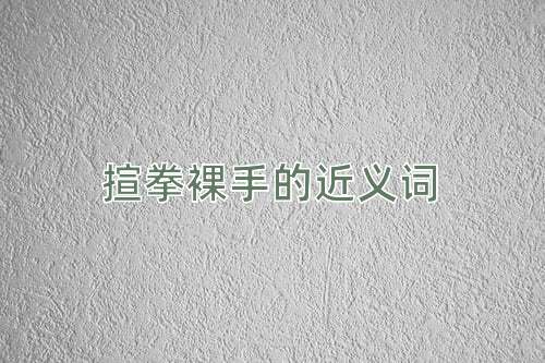 揎拳裸手的近义词