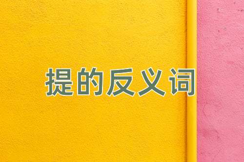 提的反义词