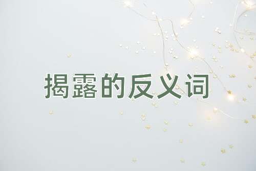 揭露的反义词