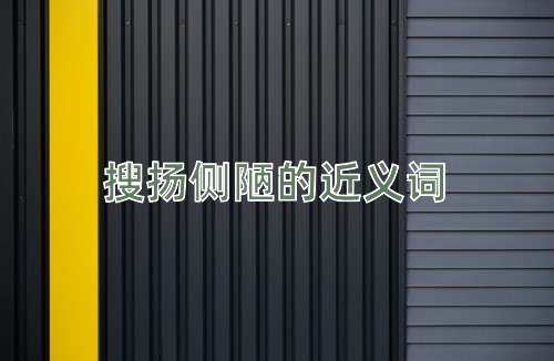 搜扬侧陋的近义词