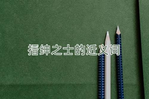 搢绅之士的近义词