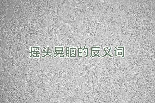 摇头晃脑的反义词