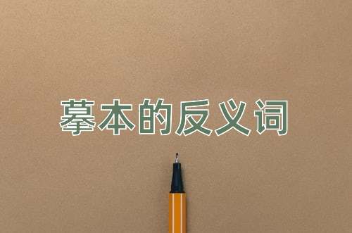 摹本的反义词