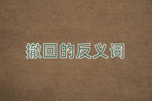 撤回的反义词