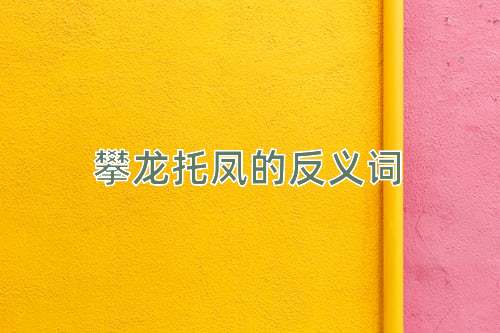 攀龙托凤的反义词