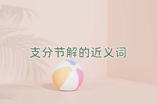 支分节解的近义词