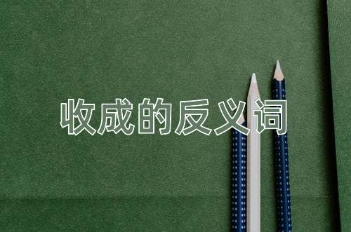 收成的反义词