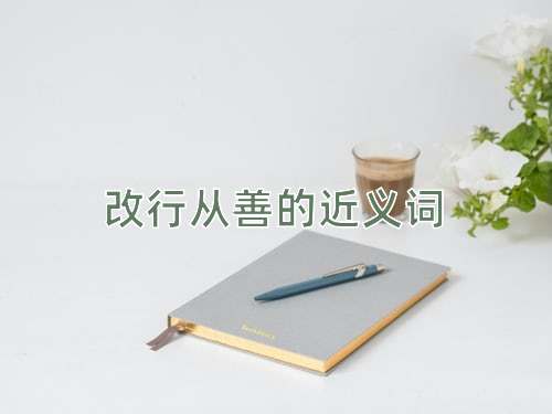 改行从善的近义词